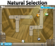 Natural Selection - Skill Games. BeFrOG.net - Only The Best Free Online Games!